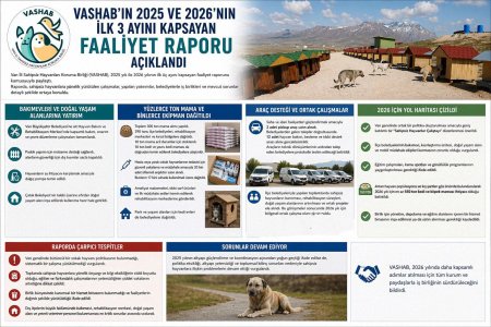 VASHAB olarak 2025 ve 2026’nın İlk 3 Ayını Kapsayan Faaliyet Raporunu Açıkladık